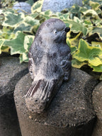 Vogel Gartenfigur Handbemalt Figur Steinguss Gartendekoration Spatz grau