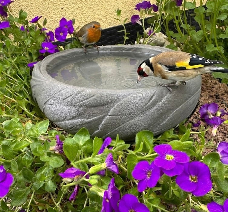 Vogeltränke Vogelbad Gartendeko für Vögel Wasserschale Vogelbecken Dark Grey