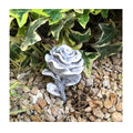 Rose Stielrose 13 cm
