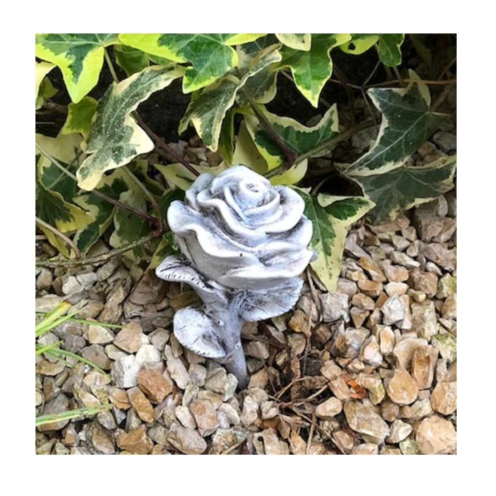Rose Stielrose 13 cm