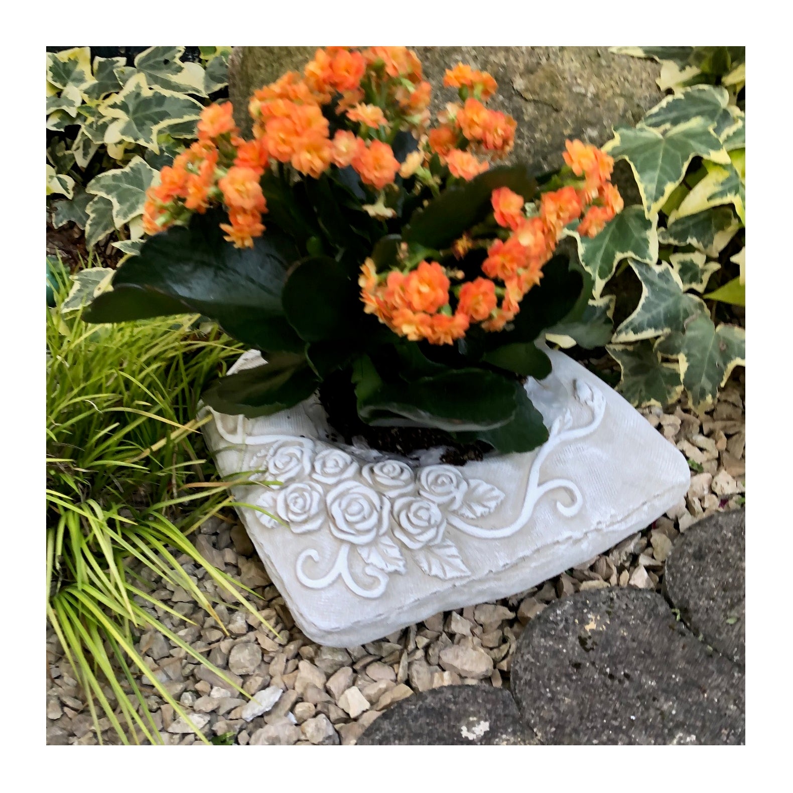 Grabschale Pflanzschale XL Pflanztopf Pflanzenschale Blumentopf Kissen Design ca.4300g