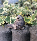 Vogel Gartenfigur Handbemalt Figur Steinguss Gartendekoration Spatz grau